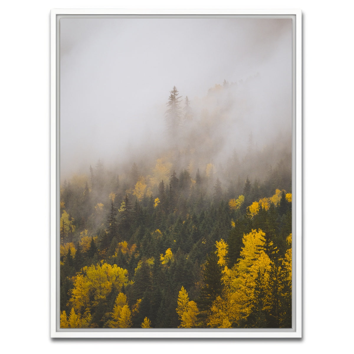 AUTO-MOCKUP WHITE | Fall Colors in Northern BC 4 | 1 Piece | White Framed Canvas | group=3x4