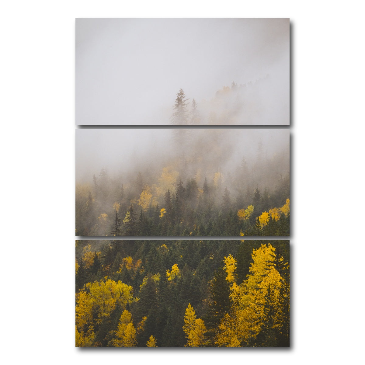 AUTO-MOCKUP WHITE | Fall Colors in Northern BC 4 | 3 Piece | Gallery Wrap Canvas | group=12x24_stacked