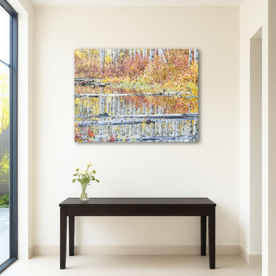 AUTO-MOCKUP ROOM | Fall Colors in Northern BC 5