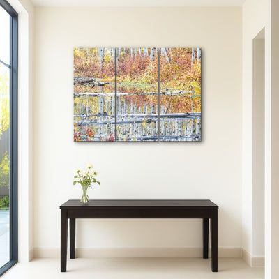 AUTO-MOCKUP ROOM | Fall Colors in Northern BC 5