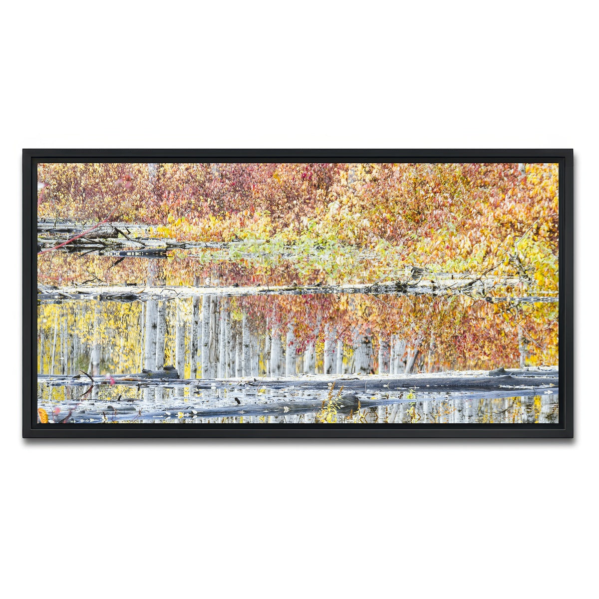 AUTO-MOCKUP WHITE | Fall Colors in Northern BC 5 | 1 Piece | Black Framed Canvas | group=2x1