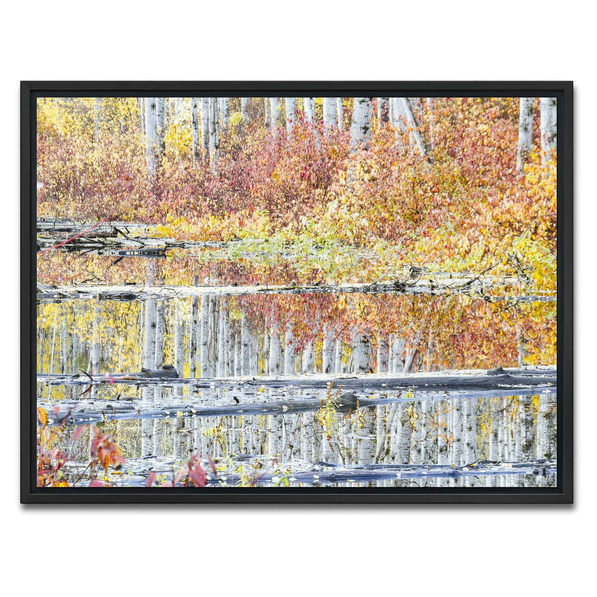 AUTO-MOCKUP WHITE | Fall Colors in Northern BC 5 | 1 Piece | Black Framed Canvas | group=4x3
