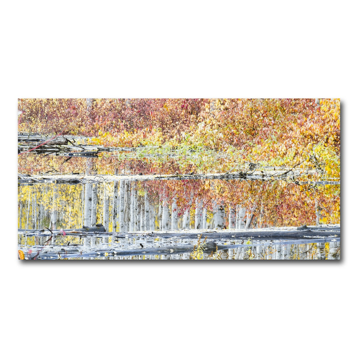 AUTO-MOCKUP WHITE | Fall Colors in Northern BC 5 | 1 Piece | Gallery Wrap Canvas | group=2x1
