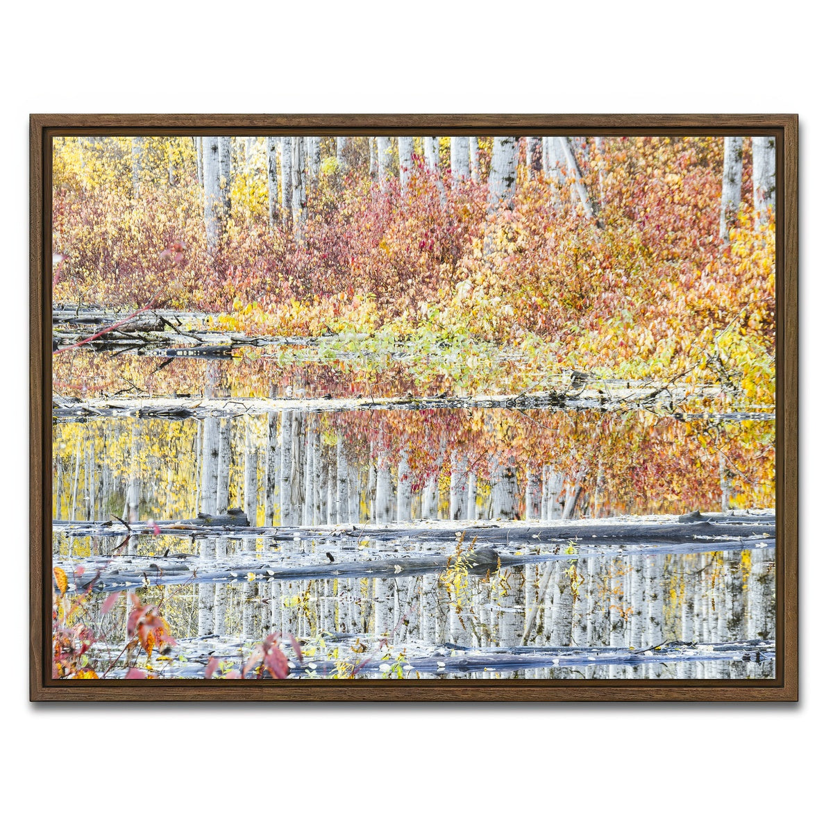 AUTO-MOCKUP WHITE | Fall Colors in Northern BC 5 | 1 Piece | Walnut Framed Canvas | group=4x3