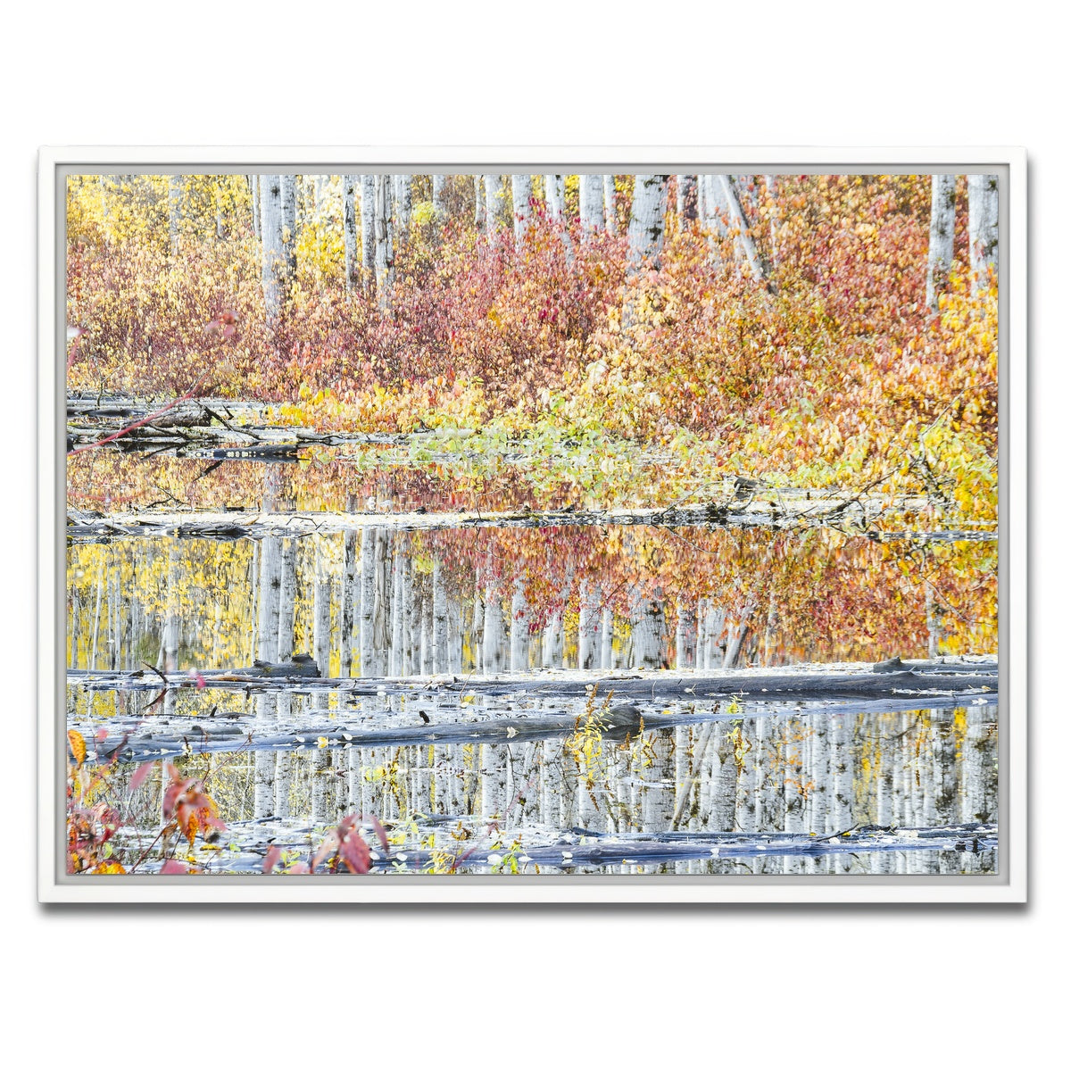 AUTO-MOCKUP WHITE | Fall Colors in Northern BC 5 | 1 Piece | White Framed Canvas | group=4x3