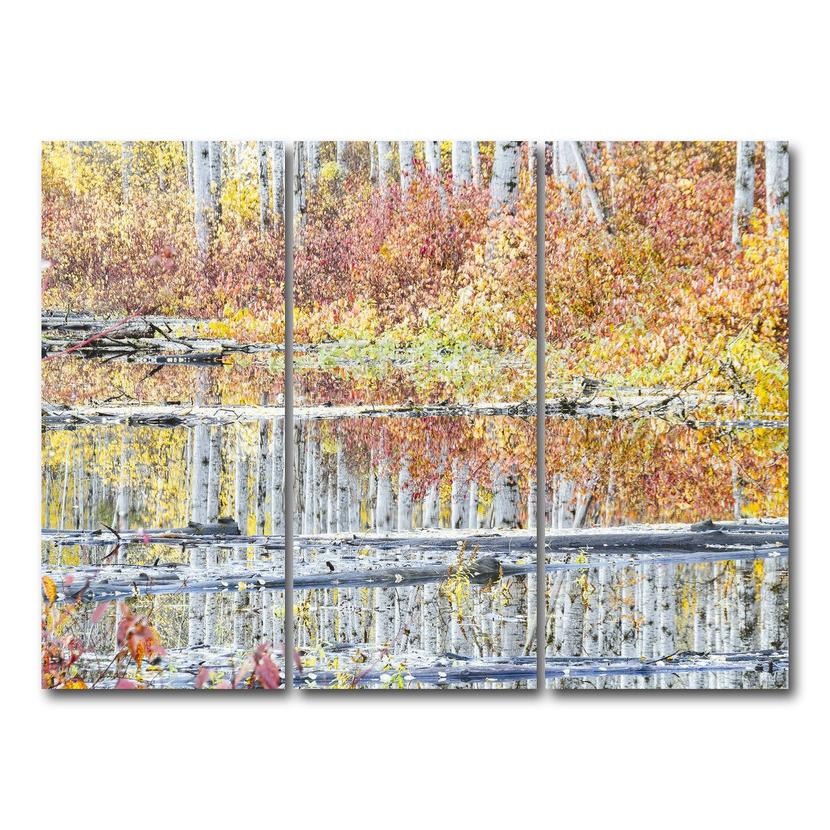 AUTO-MOCKUP WHITE | Fall Colors in Northern BC 5 | 3 Piece | Gallery Wrap Canvas | group=8x18