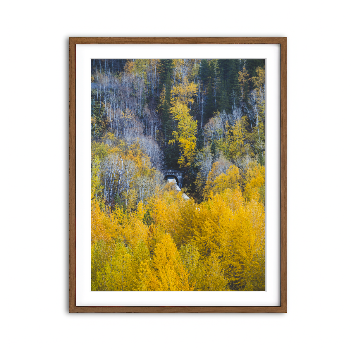 Framed Print 3x4 Walnut