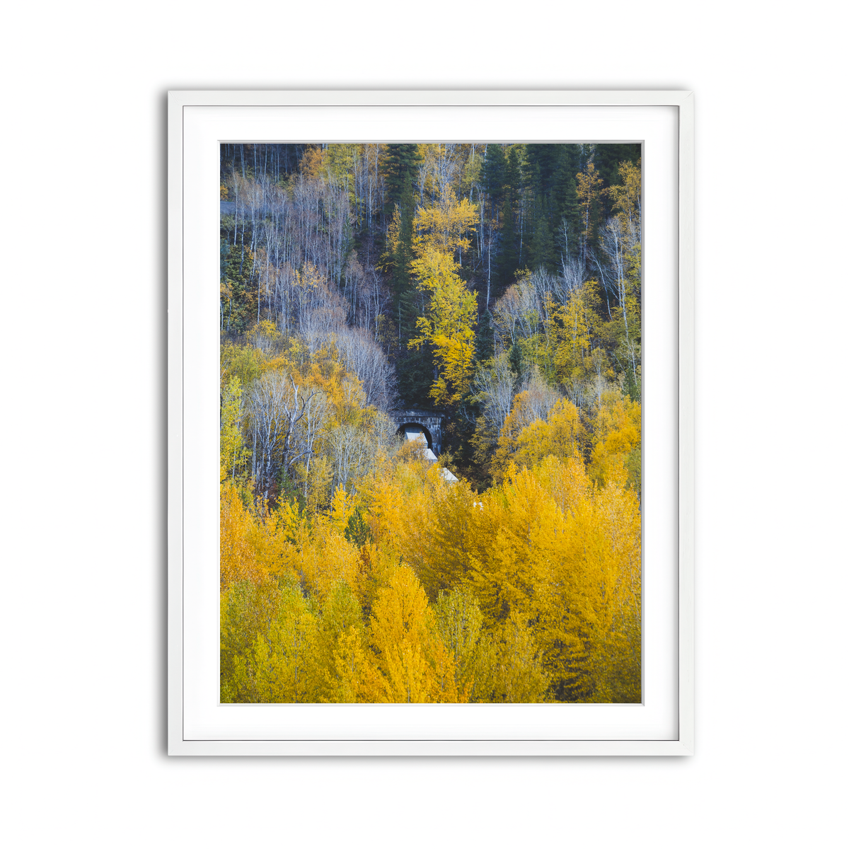 Framed Print 3x4 White