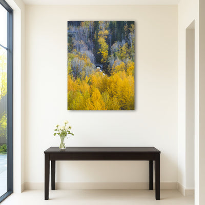 AUTO-MOCKUP ROOM | Fall Colors in Northern BC 6