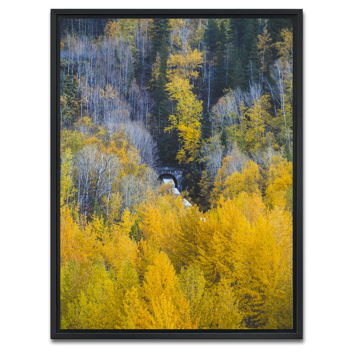 AUTO-MOCKUP WHITE | Fall Colors in Northern BC 6 | 1 Piece | Black Framed Canvas | group=3x4