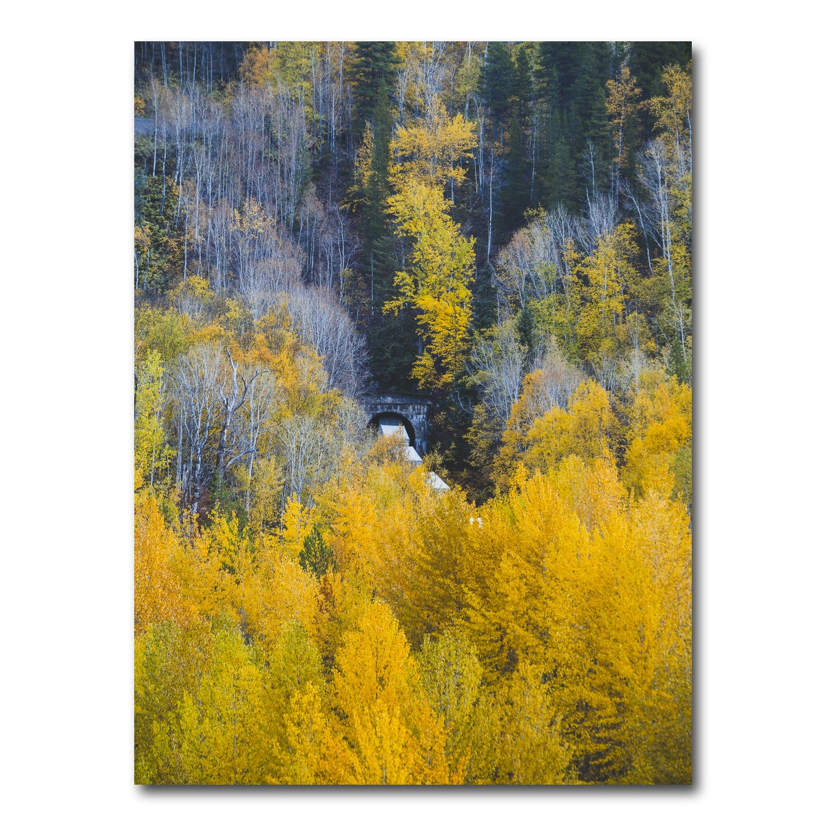 AUTO-MOCKUP WHITE | Fall Colors in Northern BC 6 | 1 Piece | Gallery Wrap Canvas | group=3x4