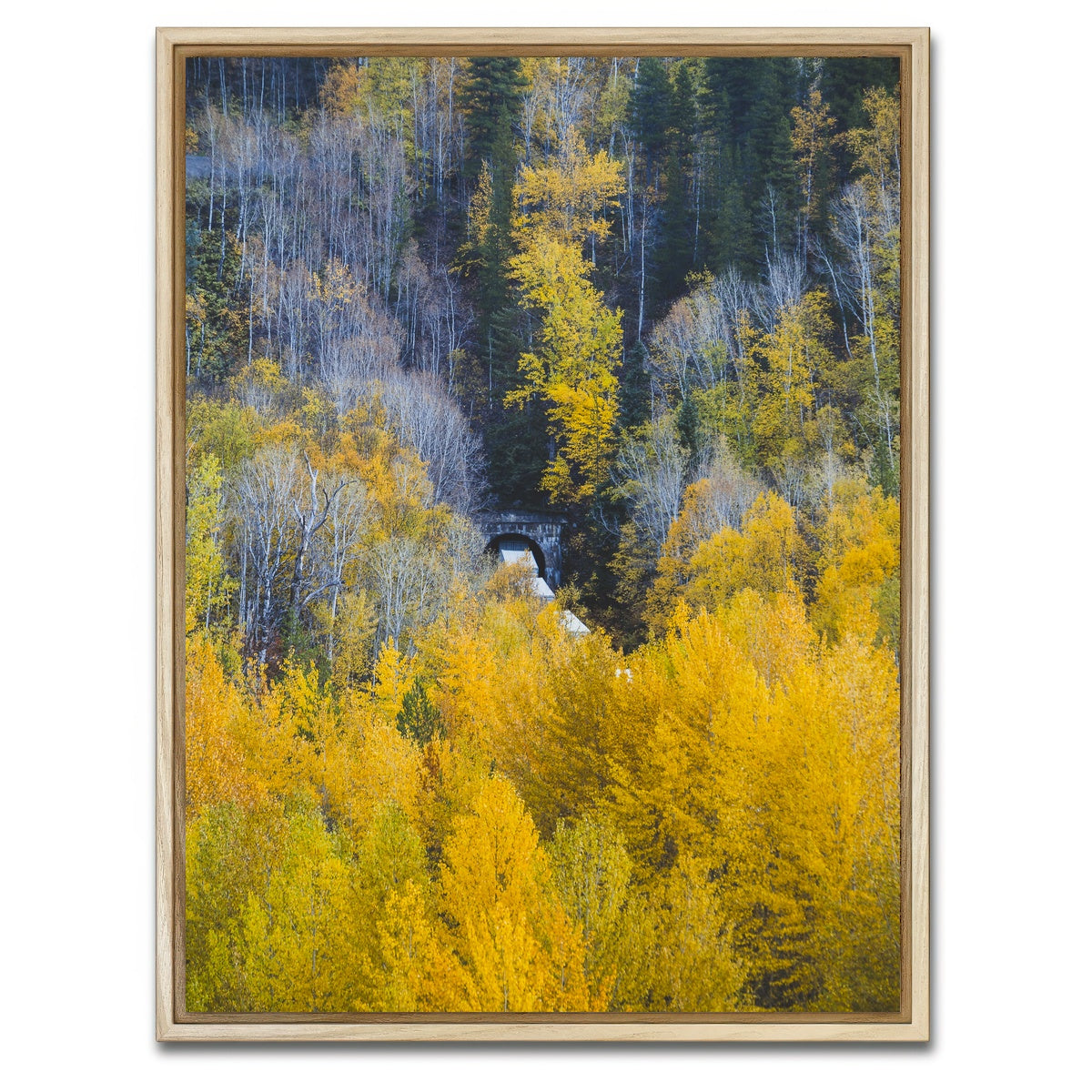 AUTO-MOCKUP WHITE | Fall Colors in Northern BC 6 | 1 Piece | Natural Framed Canvas | group=3x4