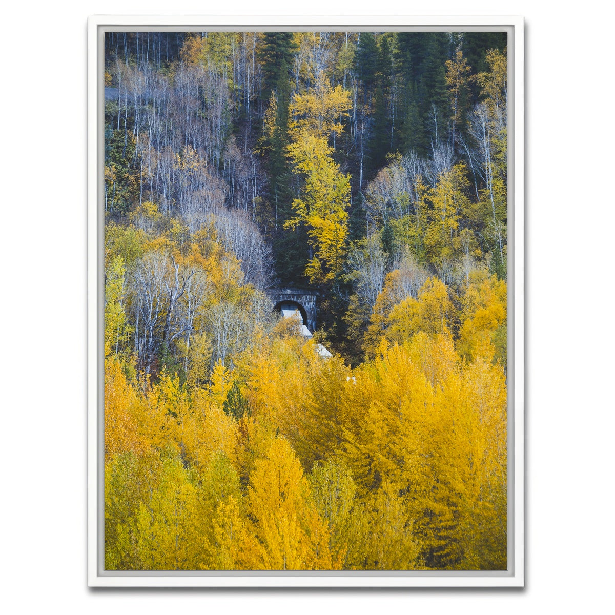 AUTO-MOCKUP WHITE | Fall Colors in Northern BC 6 | 1 Piece | White Framed Canvas | group=3x4