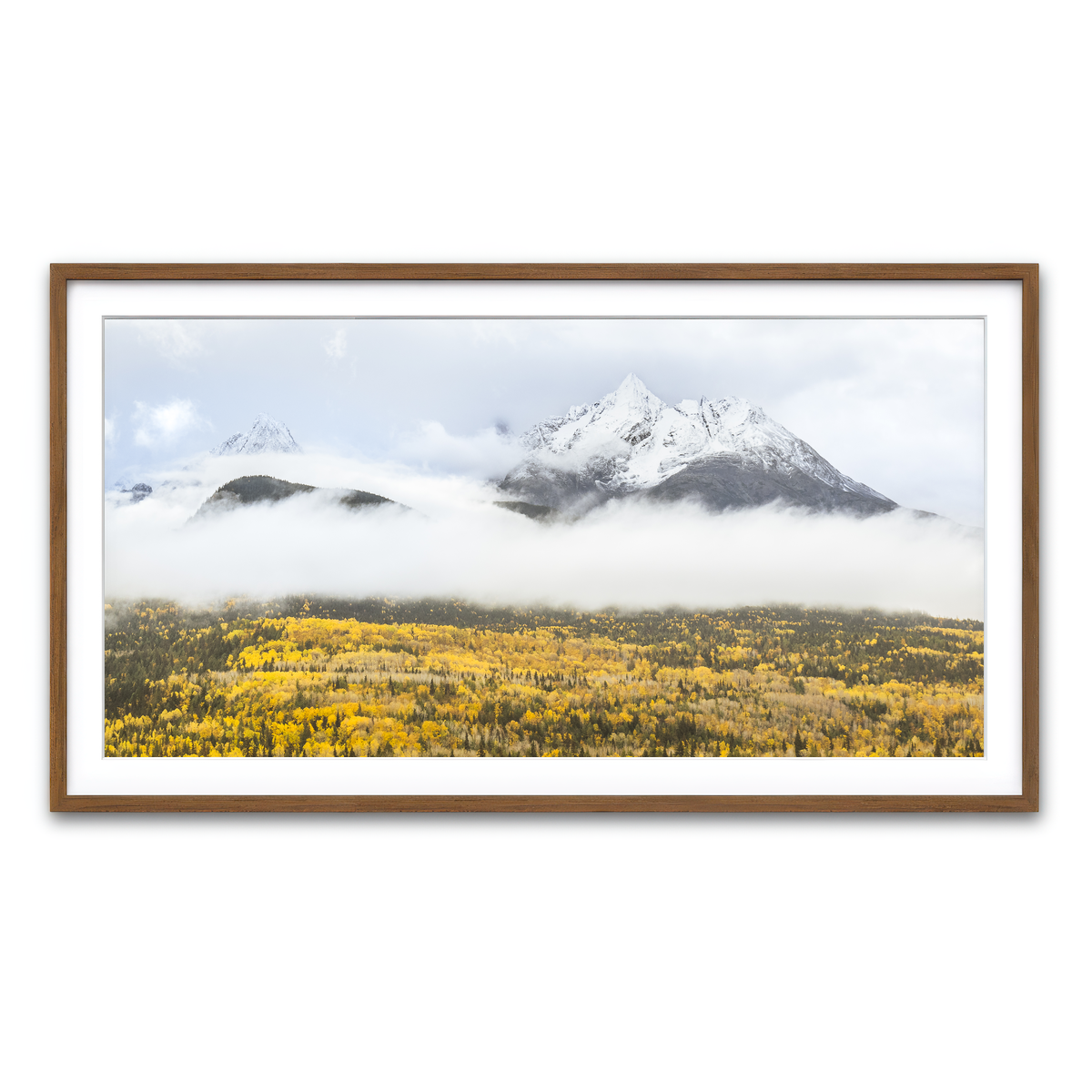 Framed Print 2x1 Walnut