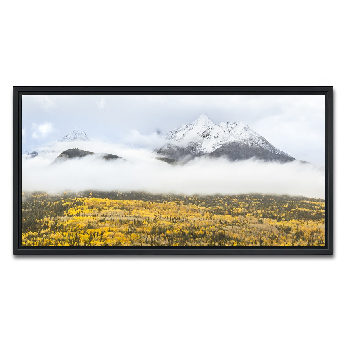 AUTO-MOCKUP WHITE | Fall Colors in Northern BC 8 | 1 Piece | Black Framed Canvas | group=2x1
