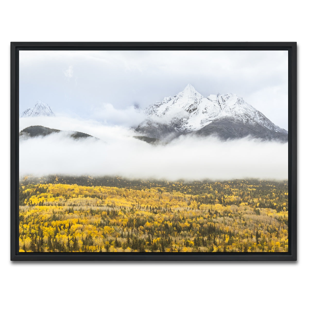 AUTO-MOCKUP WHITE | Fall Colors in Northern BC 8 | 1 Piece | Black Framed Canvas | group=4x3
