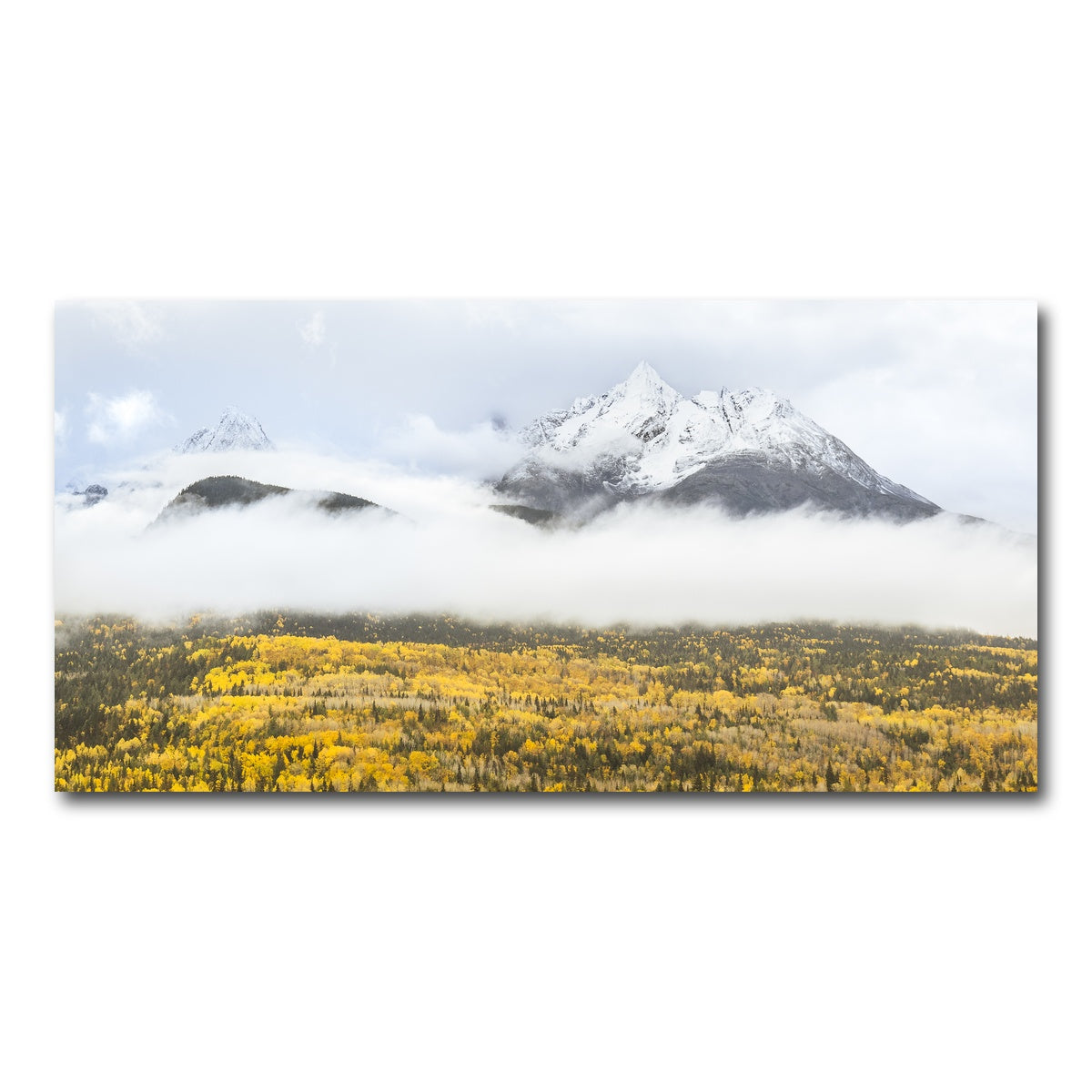 AUTO-MOCKUP WHITE | Fall Colors in Northern BC 8 | 1 Piece | Gallery Wrap Canvas | group=2x1