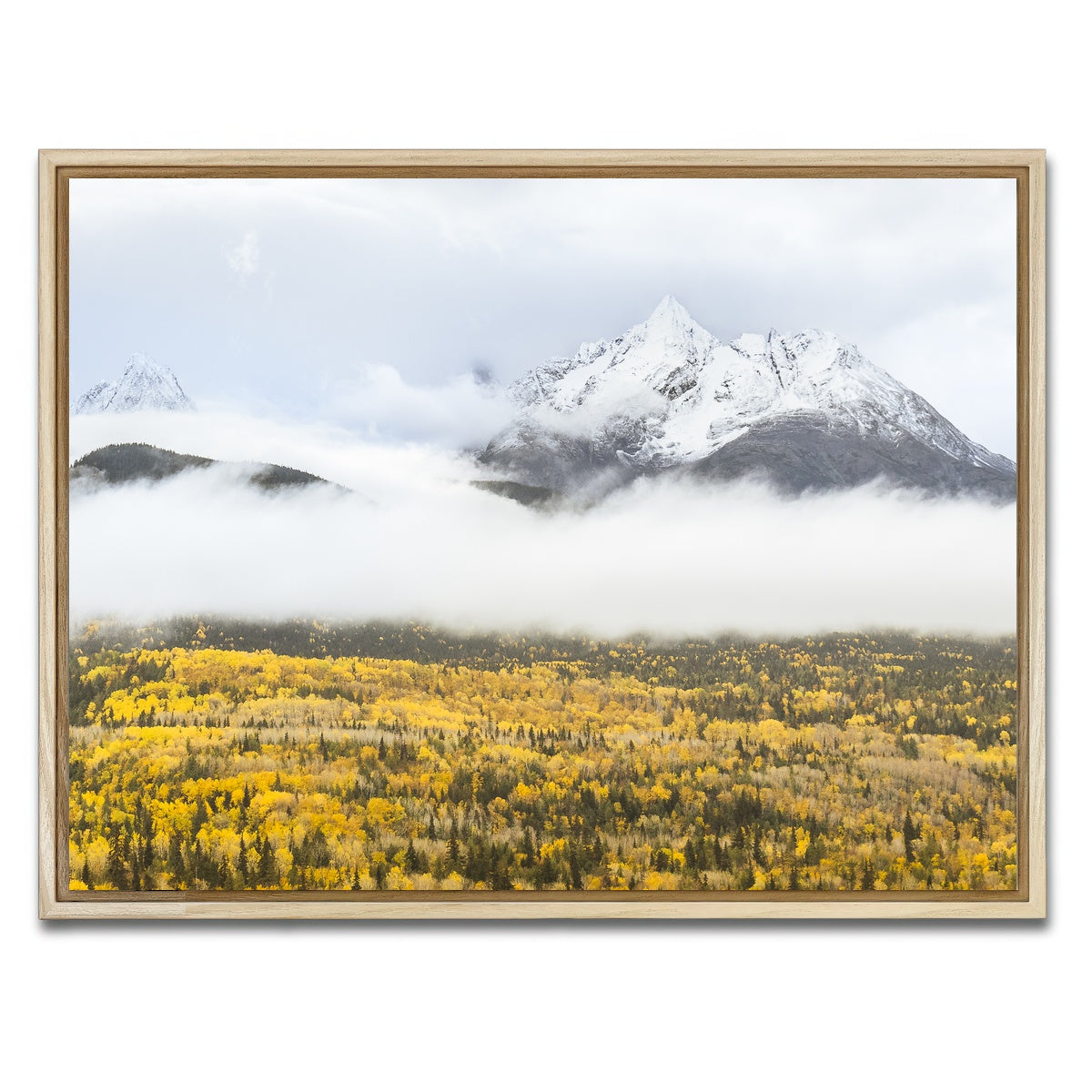 AUTO-MOCKUP WHITE | Fall Colors in Northern BC 8 | 1 Piece | Natural Framed Canvas | group=4x3