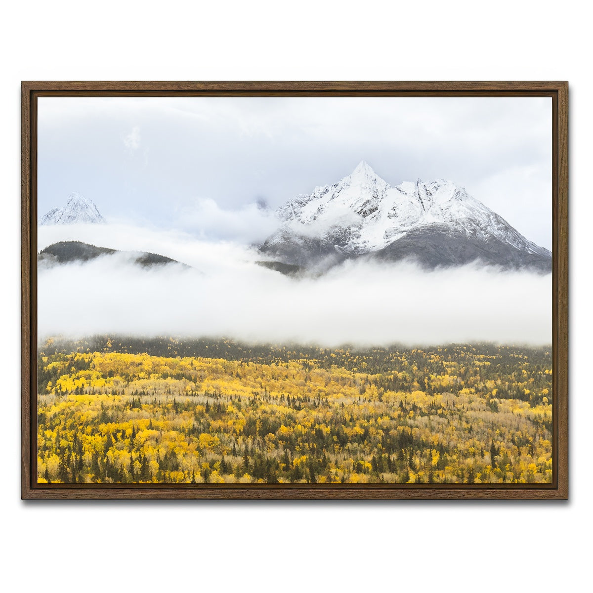 AUTO-MOCKUP WHITE | Fall Colors in Northern BC 8 | 1 Piece | Walnut Framed Canvas | group=4x3