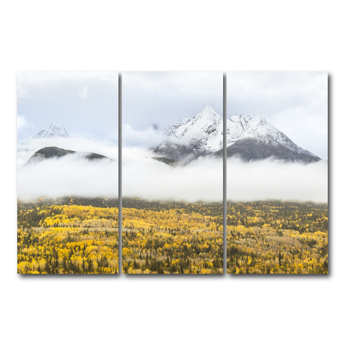AUTO-MOCKUP WHITE | Fall Colors in Northern BC 8 | 3 Piece | Gallery Wrap Canvas | group=12x24