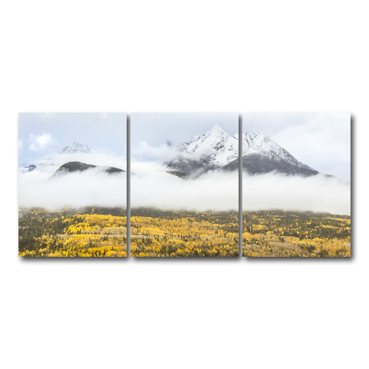 AUTO-MOCKUP WHITE | Fall Colors in Northern BC 8 | 3 Piece | Gallery Wrap Canvas | group=18x24