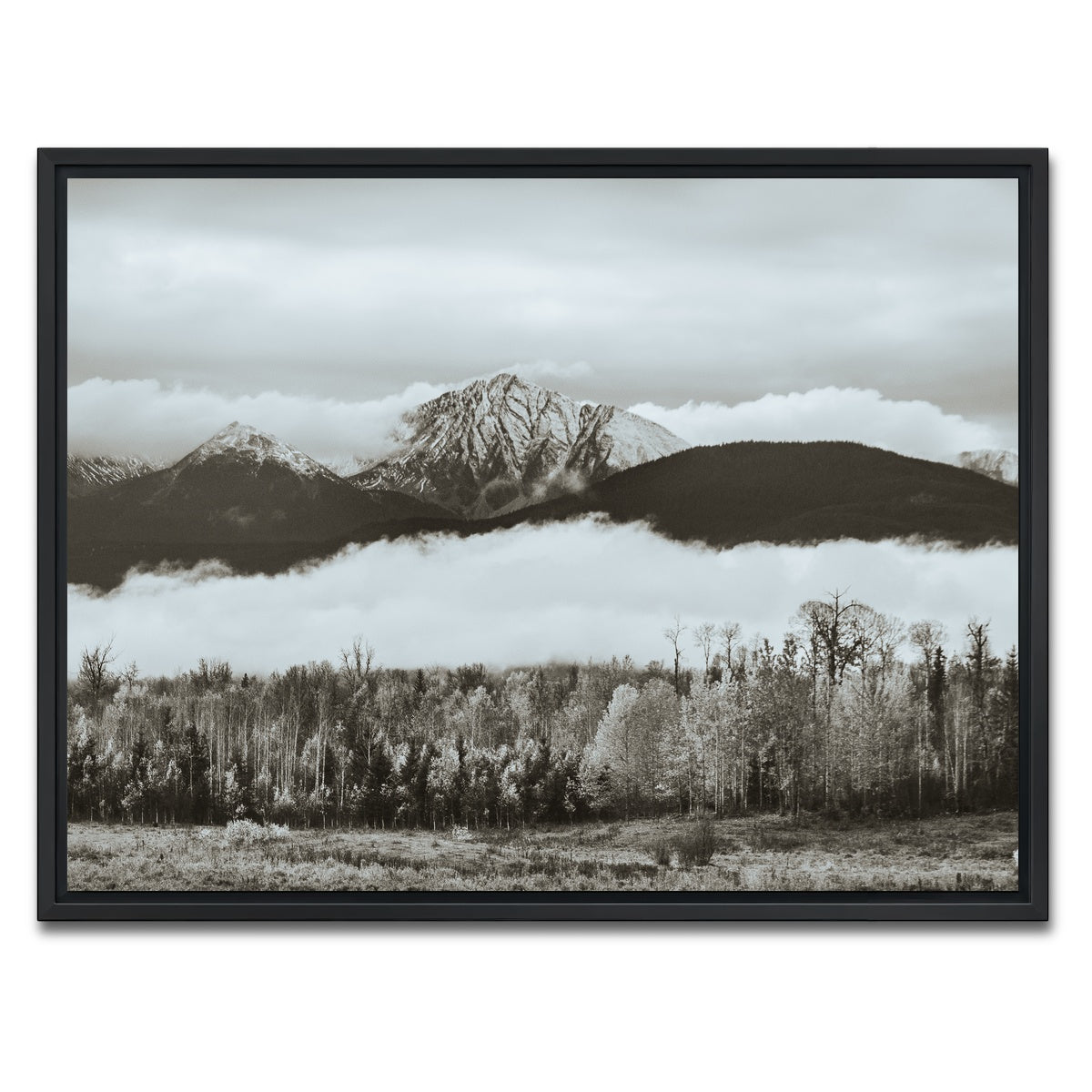 AUTO-MOCKUP WHITE | Fall Colors in Northern BC 9 | 1 Piece | Black Framed Canvas | group=4x3