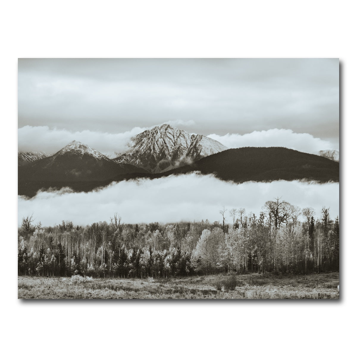 AUTO-MOCKUP WHITE | Fall Colors in Northern BC 9 | 1 Piece | Gallery Wrap Canvas | group=4x3