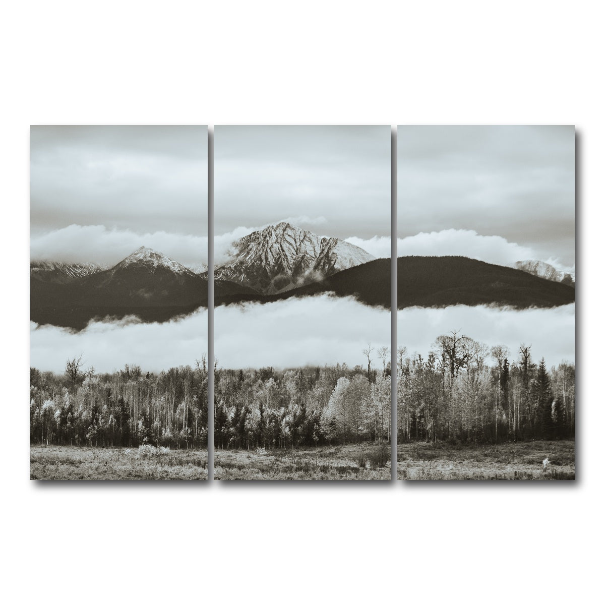 AUTO-MOCKUP WHITE | Fall Colors in Northern BC 9 | 3 Piece | Gallery Wrap Canvas | group=12x24