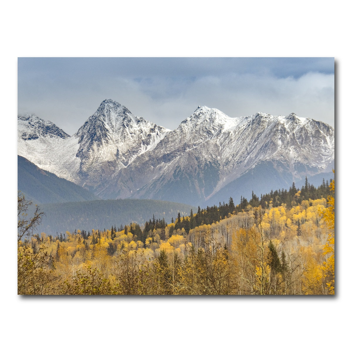 AUTO-MOCKUP WHITE | Fall Colors in Northern BC | 1 Piece | Gallery Wrap Canvas | group=4x3