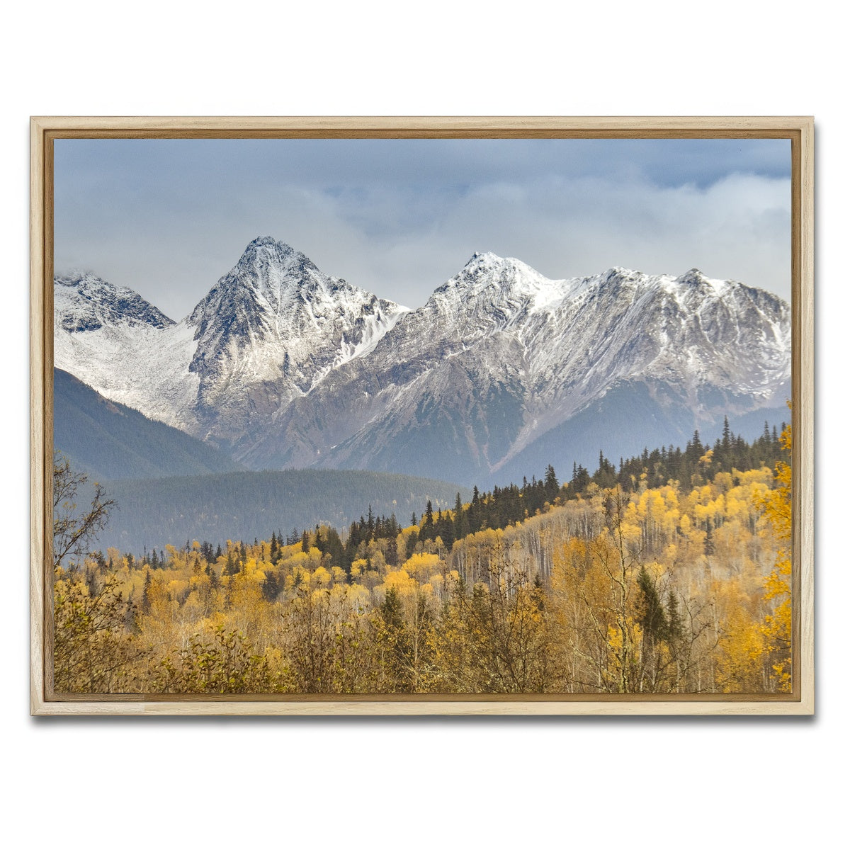 AUTO-MOCKUP WHITE | Fall Colors in Northern BC | 1 Piece | Natural Framed Canvas | group=4x3