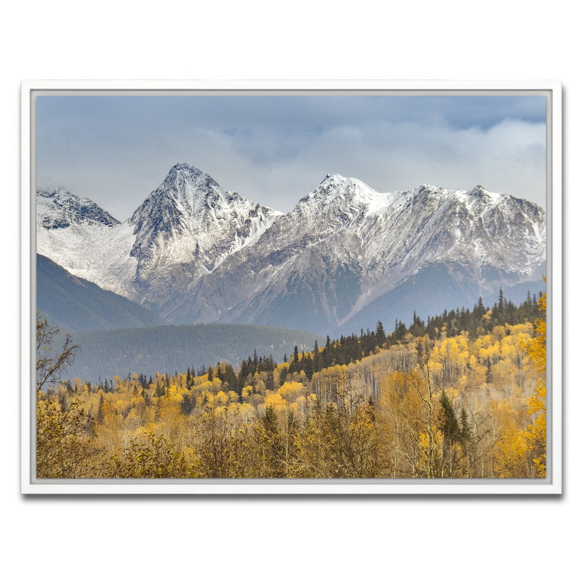 AUTO-MOCKUP WHITE | Fall Colors in Northern BC | 1 Piece | White Framed Canvas | group=4x3