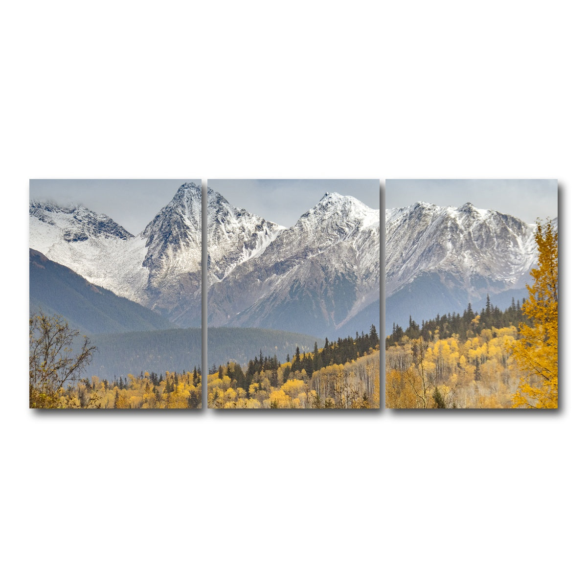 AUTO-MOCKUP WHITE | Fall Colors in Northern BC | 3 Piece | Gallery Wrap Canvas | group=18x24