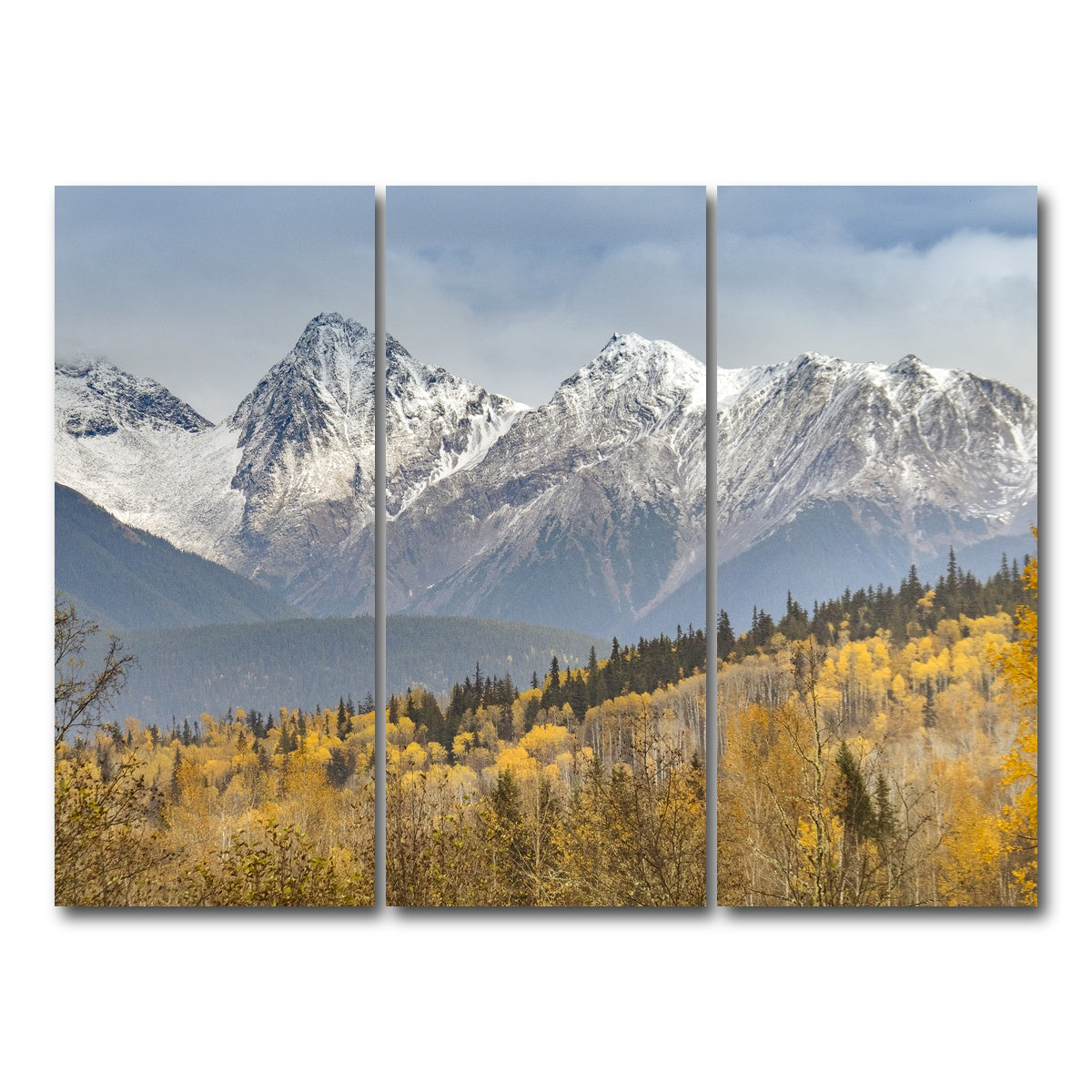 AUTO-MOCKUP WHITE | Fall Colors in Northern BC | 3 Piece | Gallery Wrap Canvas | group=8x18