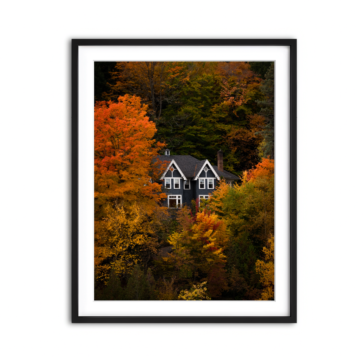 Framed Print 3x4 Black