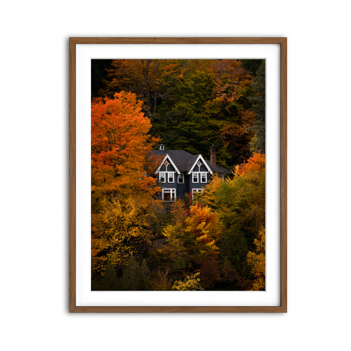 Framed Print 3x4 Walnut