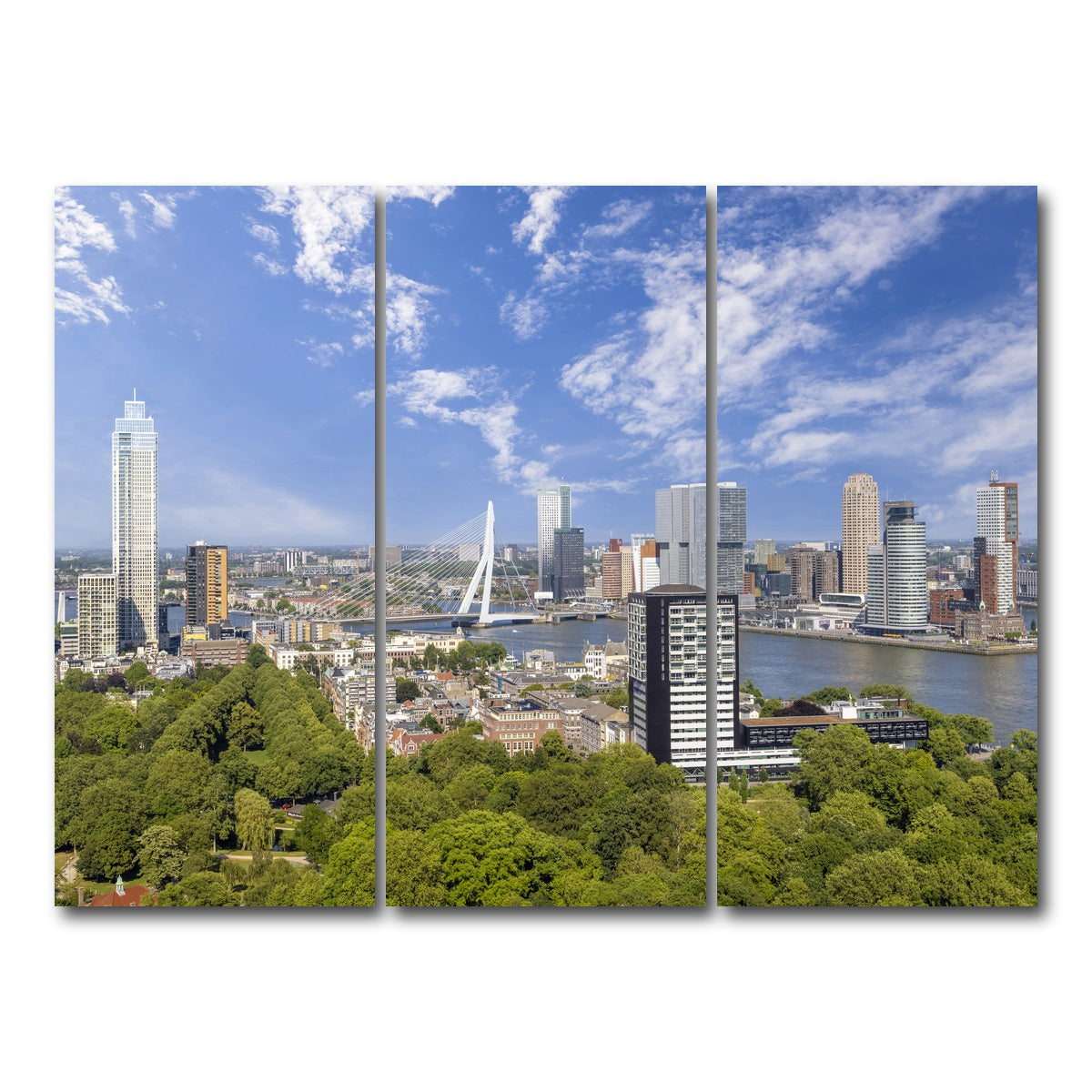 AUTO-MOCKUP WHITE | Fantastic Rotterdam Impression | 3 Piece | Gallery Wrap Canvas | group=8x18