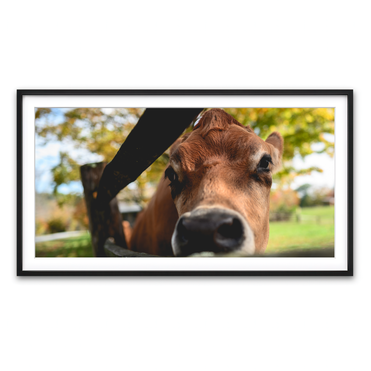 Framed Print 2x1 Black