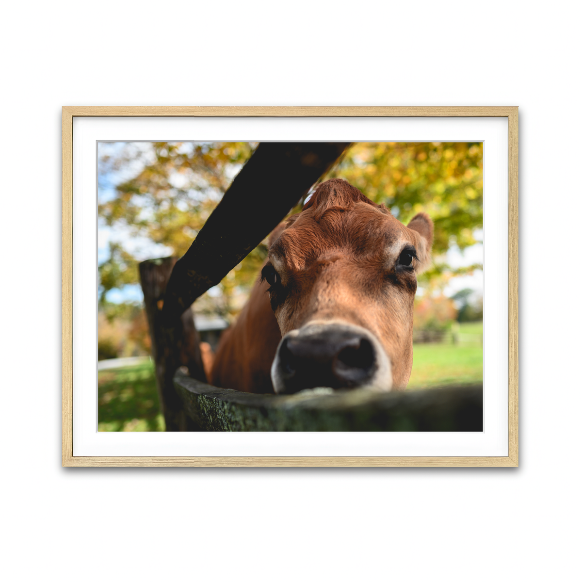 Framed Print 4x3 Natural