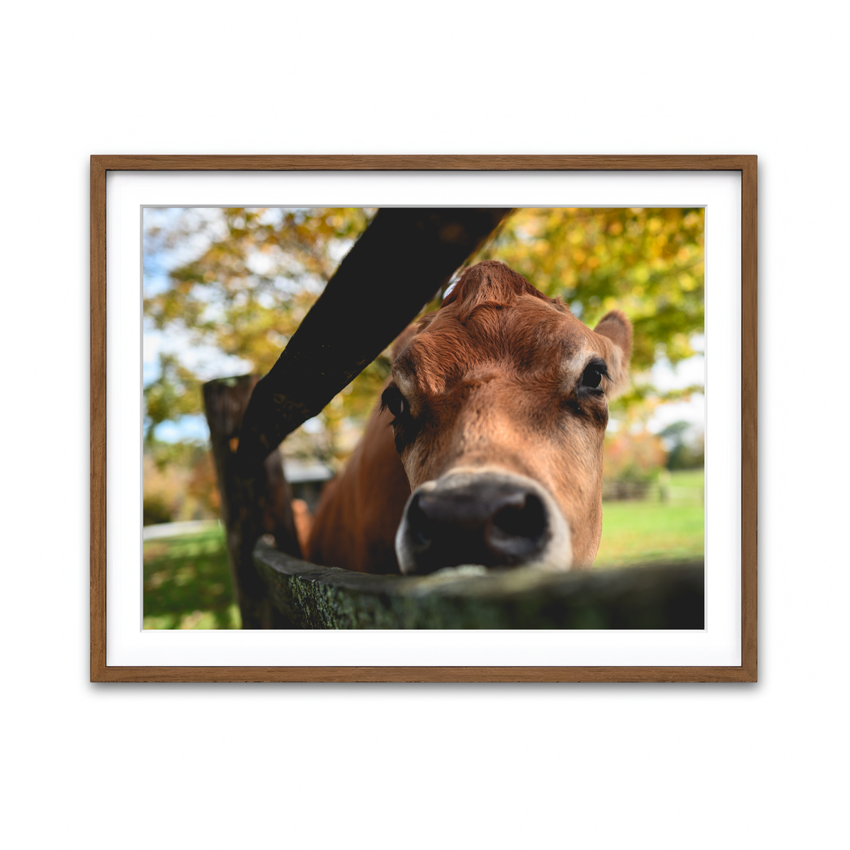 Framed Print 4x3 Walnut