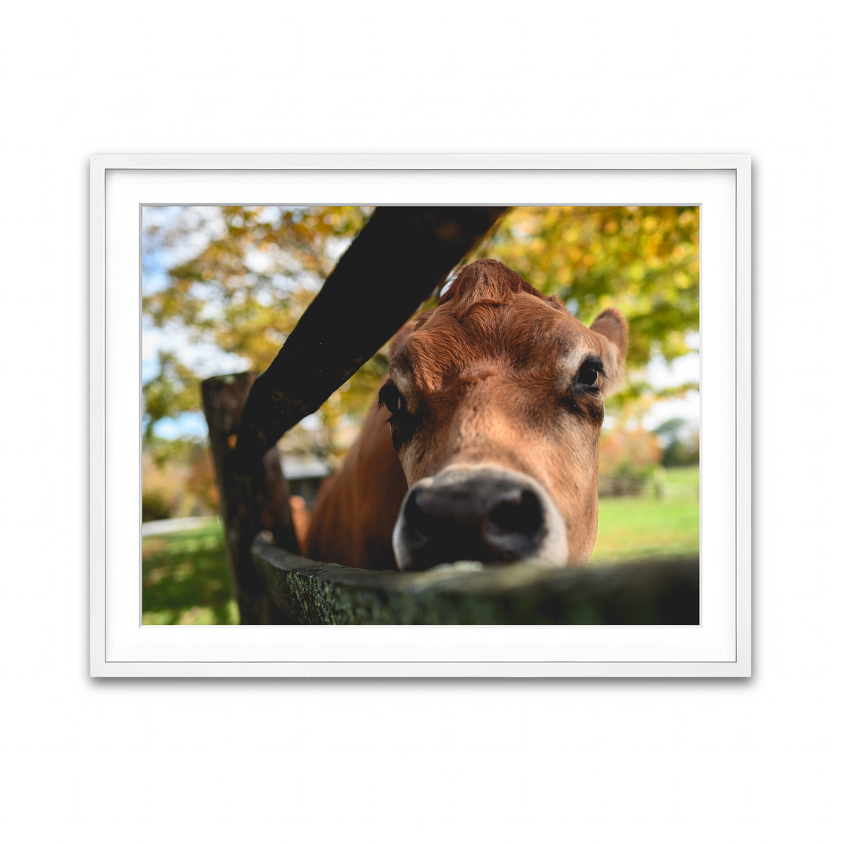 Framed Print 4x3 White