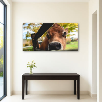 AUTO-MOCKUP ROOM | Farm Life