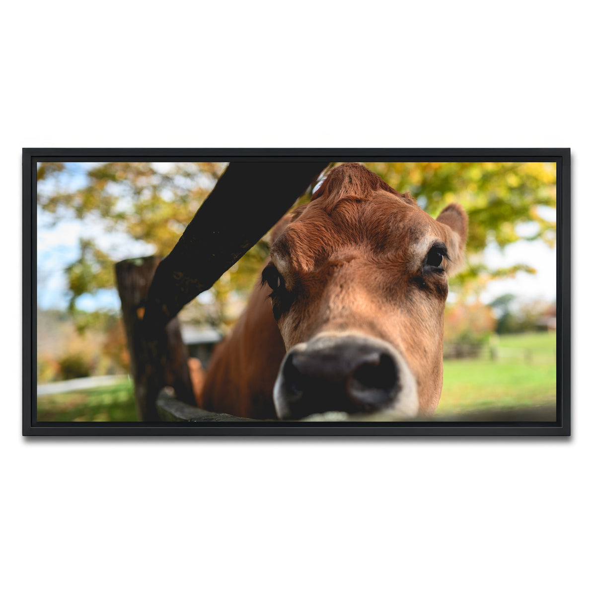 AUTO-MOCKUP WHITE | Farm Life | 1 Piece | Black Framed Canvas | group=2x1