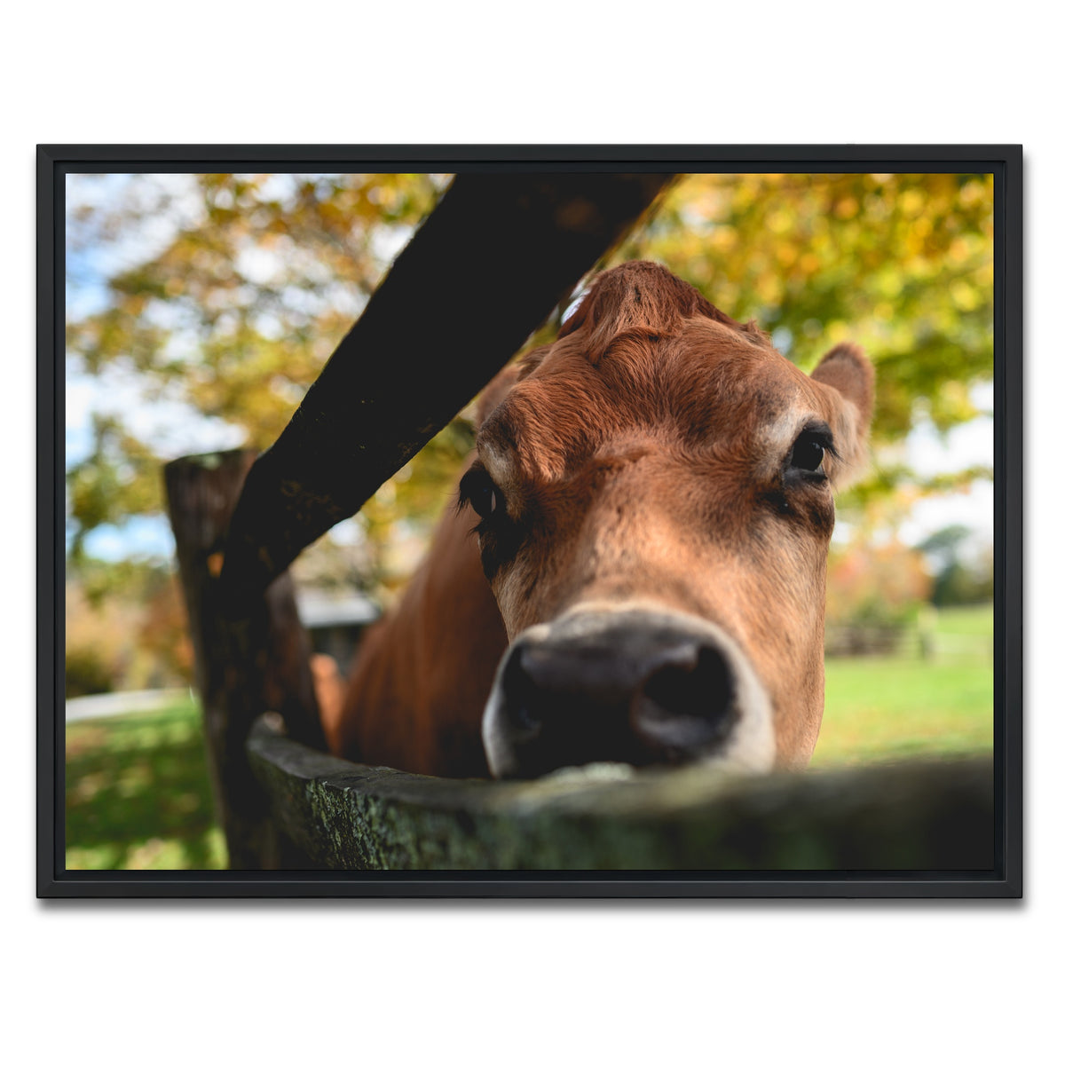 AUTO-MOCKUP WHITE | Farm Life | 1 Piece | Black Framed Canvas | group=4x3