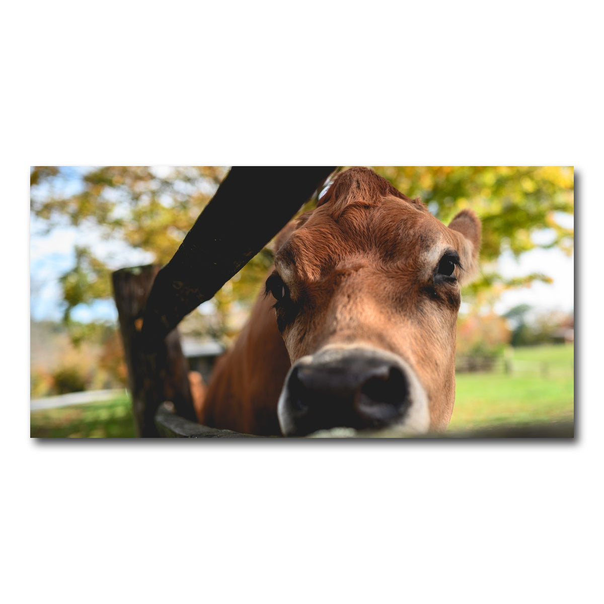 AUTO-MOCKUP WHITE | Farm Life | 1 Piece | Gallery Wrap Canvas | group=2x1