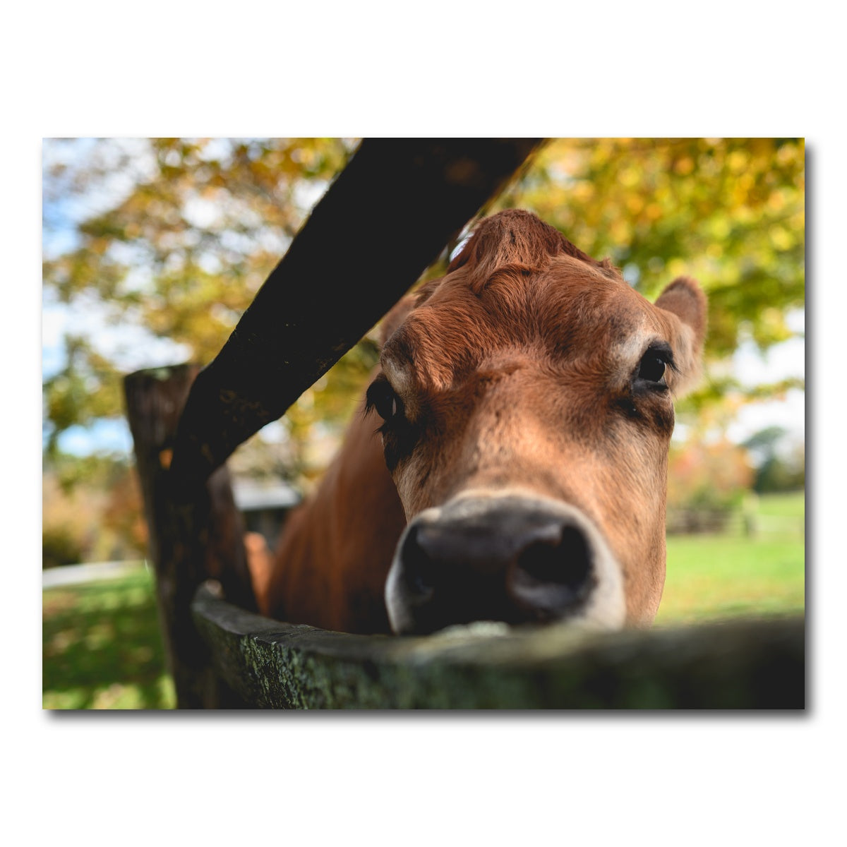 AUTO-MOCKUP WHITE | Farm Life | 1 Piece | Gallery Wrap Canvas | group=4x3