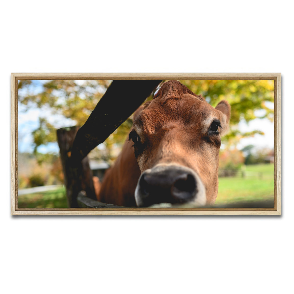 AUTO-MOCKUP WHITE | Farm Life | 1 Piece | Natural Framed Canvas | group=2x1