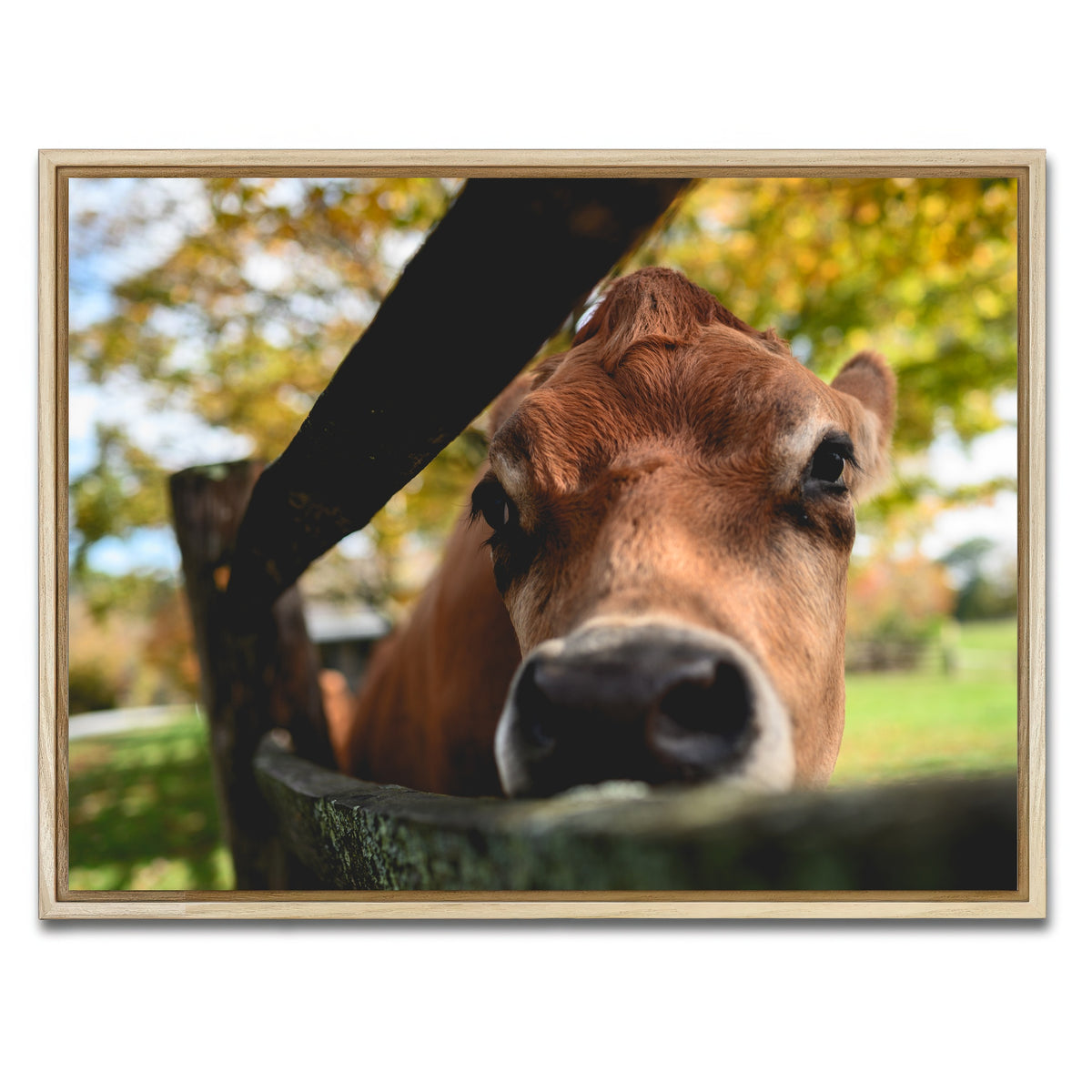 AUTO-MOCKUP WHITE | Farm Life | 1 Piece | Natural Framed Canvas | group=4x3