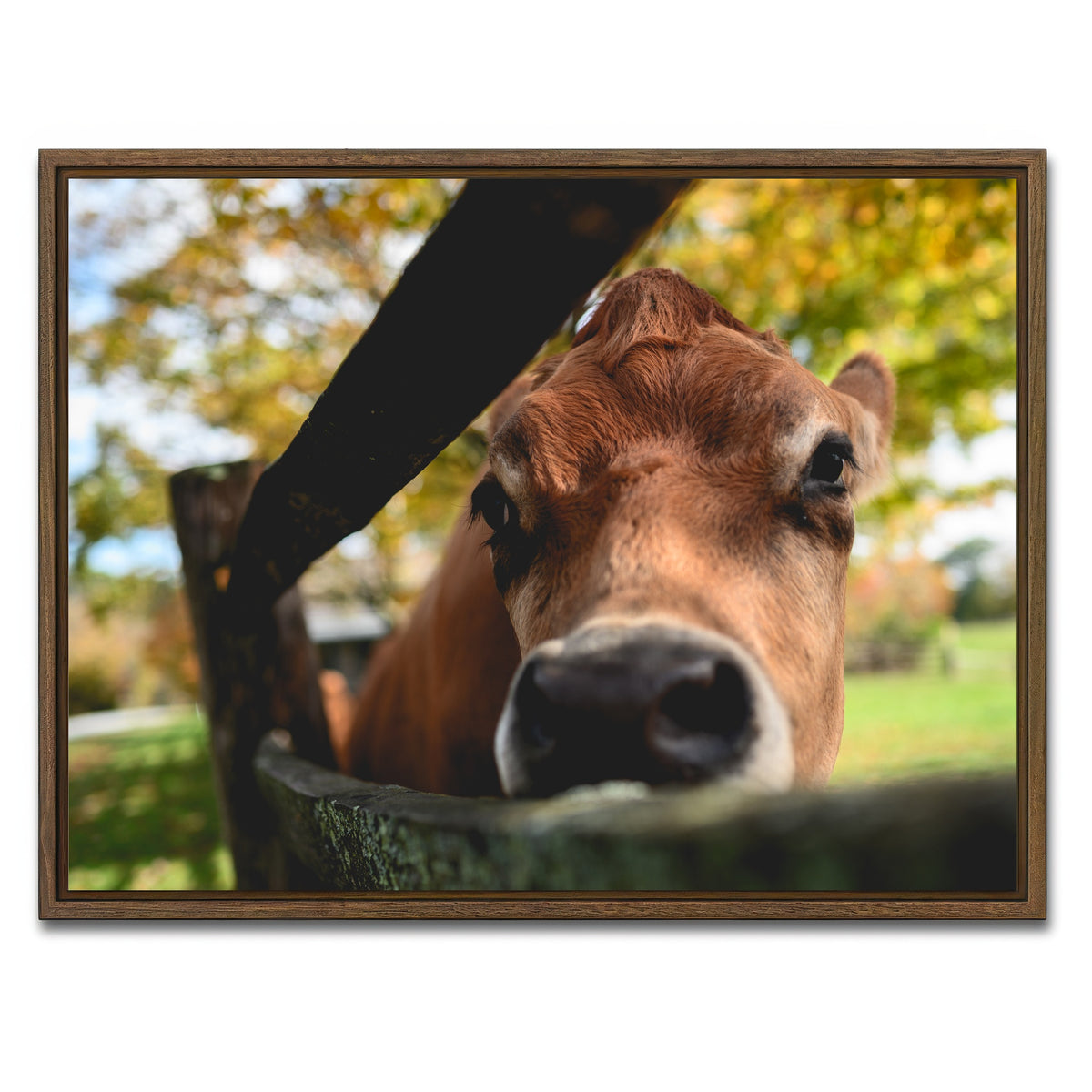 AUTO-MOCKUP WHITE | Farm Life | 1 Piece | Walnut Framed Canvas | group=4x3