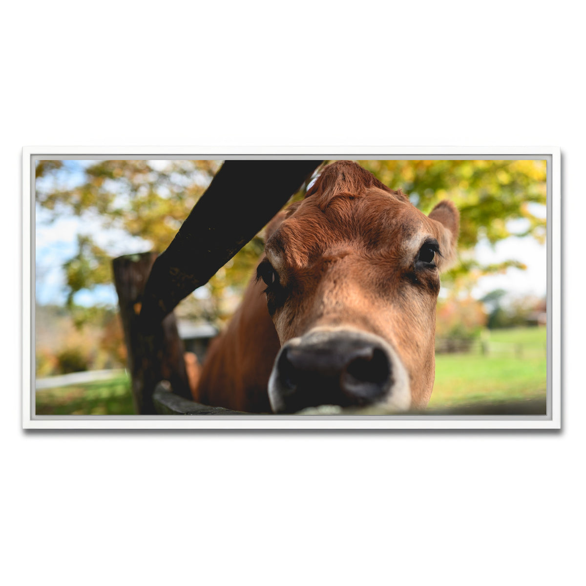 AUTO-MOCKUP WHITE | Farm Life | 1 Piece | White Framed Canvas | group=2x1
