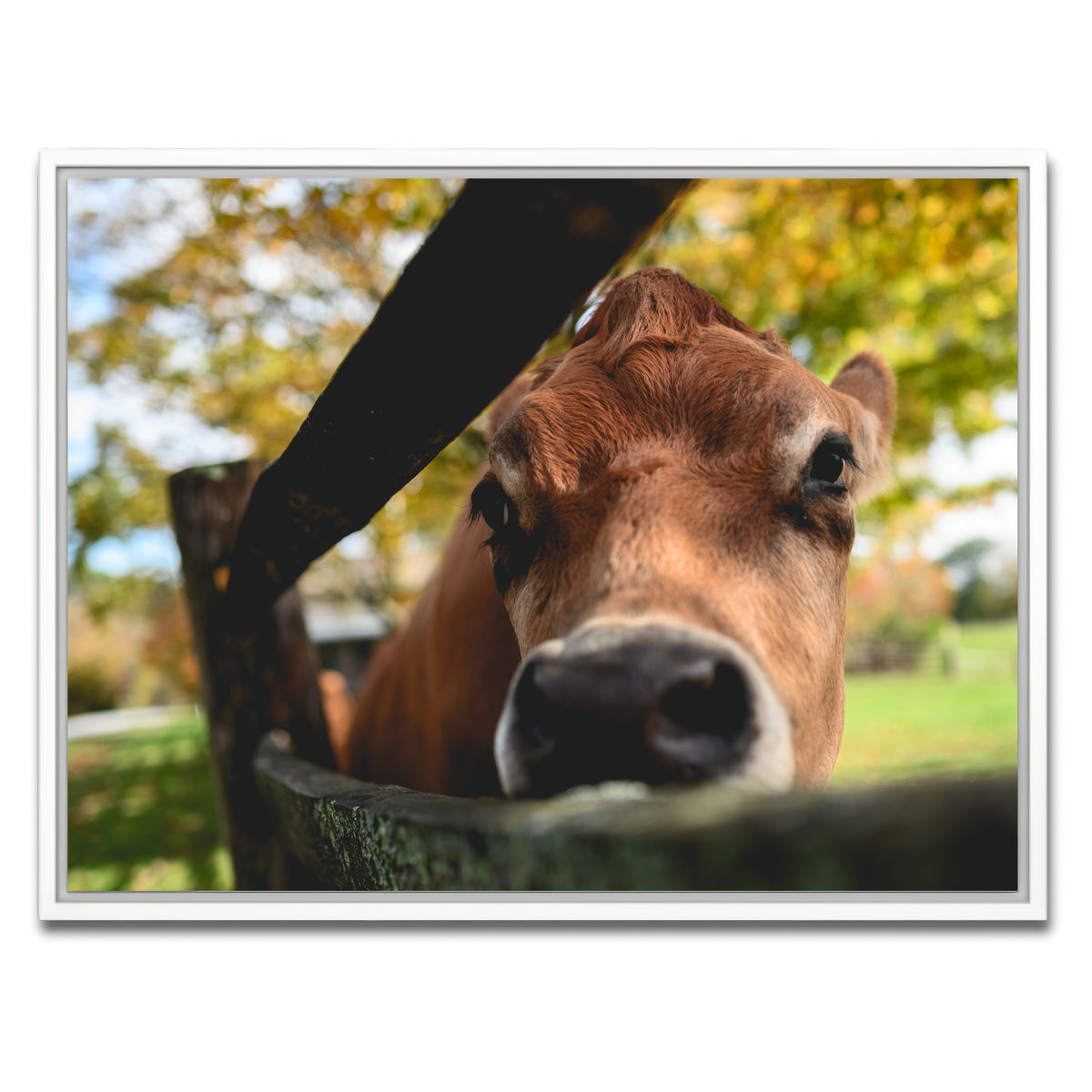 AUTO-MOCKUP WHITE | Farm Life | 1 Piece | White Framed Canvas | group=4x3